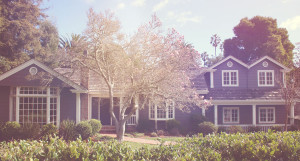 Transform your home with Spruce Home Design